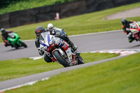 anglesey;brands-hatch;cadwell-park;croft;donington-park;enduro-digital-images;event-digital-images;eventdigitalimages;mallory;no-limits;oulton-park;peter-wileman-photography;racing-digital-images;silverstone;snetterton;trackday-digital-images;trackday-photos;vmcc-banbury-run;welsh-2-day-enduro
